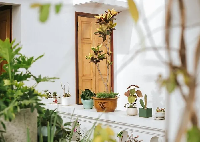 Hidden Space Homestay Ha Long